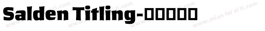 Salden Titling字体转换